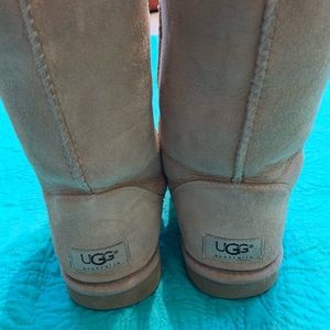 Classic short Uggs